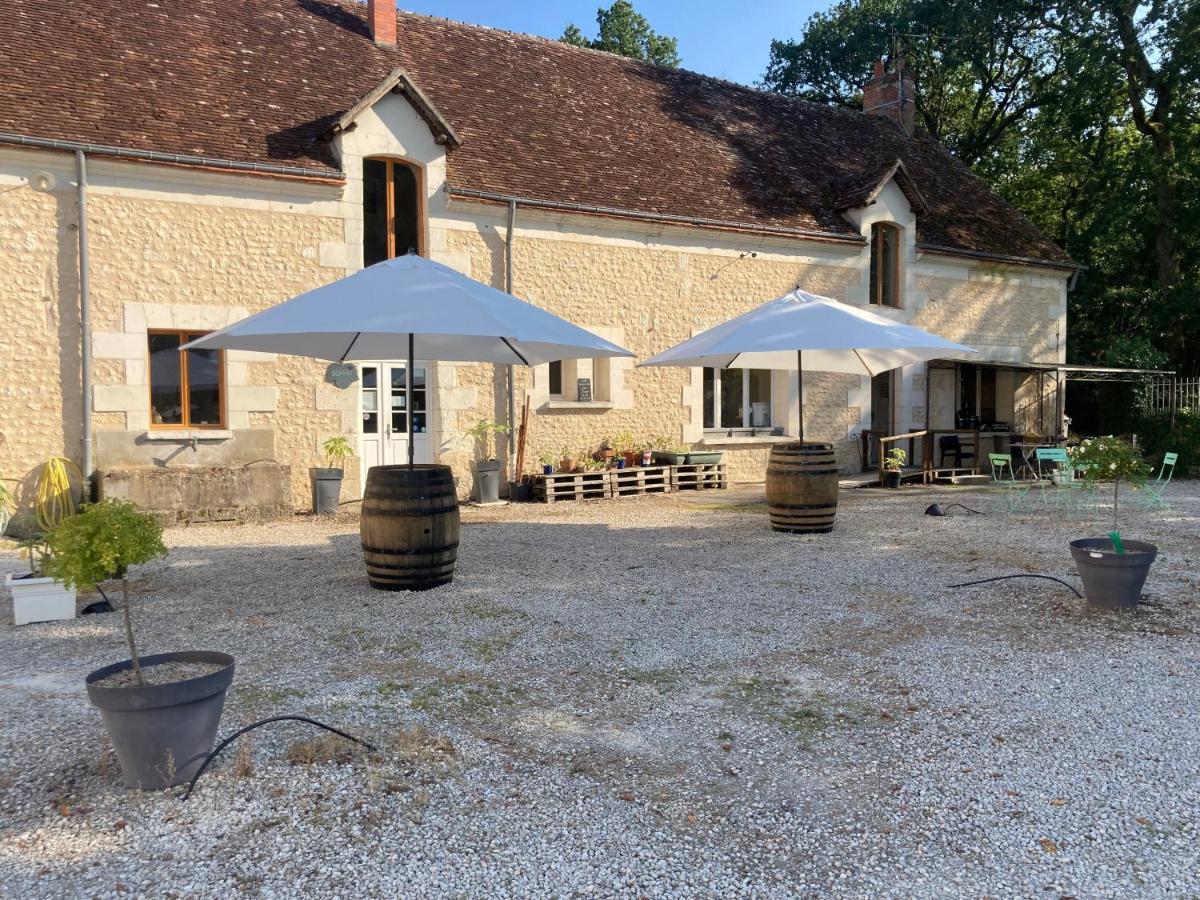 Les Pierres D'Aurele Chambres D'Hotes Saint-Georges-sur-Cher Exterior foto